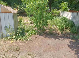 Cleanups by Mekey Musa for Jay S. in Minneapolis, MN