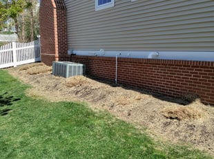 Bush Trimming by Alray Johnson for Stacy G. in Chester Springs, PA