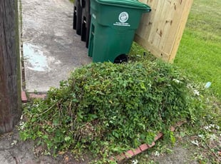 Bush Trimming by Paul Jones for Lonnie N. in Houston, TX