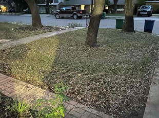 Leaf Removal by Carlos Garza for Mark L. in San Antonio, TX