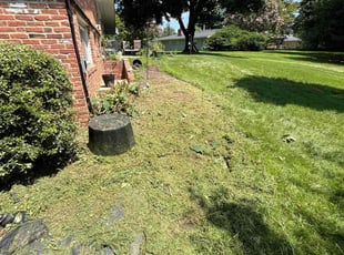 Marilyn N.'s Bush Trimming service result