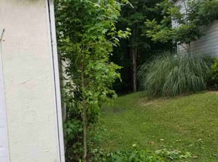 Bush Trimming by Laron Austin for Nichole J. in College Park, GA
