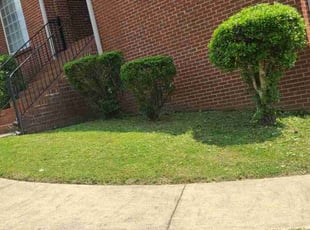 Bush Trimming by Jabree Smith for James F. in Pleasant Grove, AL