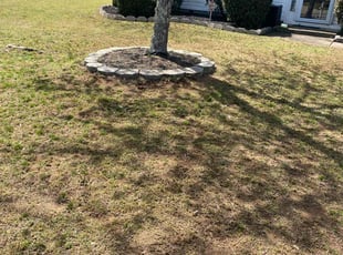 Leaf Removal by Andre Jefferson for Jamar F. in Covington, GA