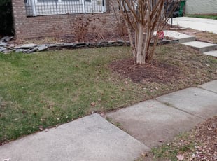 Leaf Removal by Damion Forney for Marshall T. in Charlotte, NC