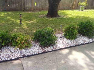 Leaf Removal by Edmund Wattis for Ray R. in Pflugerville, TX