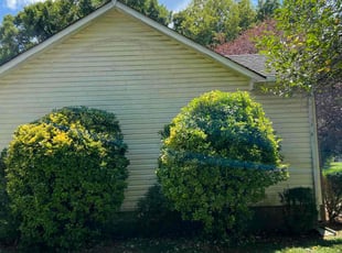 Bush Trimming by Kyle Carter for Patrick W. in Smyrna, TN