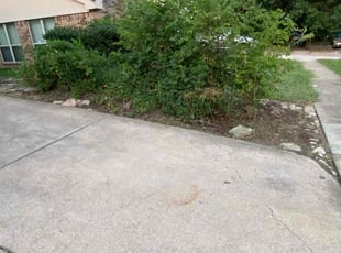 Cleanups by Francisco Bermudez for Tammy T. in Arlington, TX