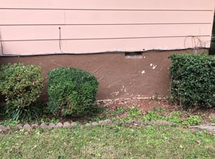 Bush Trimming by Nathan Christiansen for Carlton M. in Chattanooga, TN