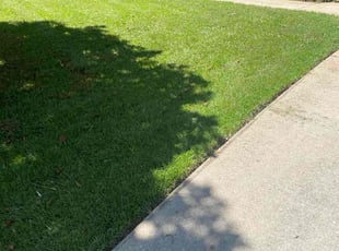 Emanuel J.'s Bush Trimming service result