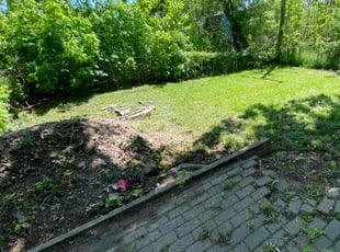 Leaf Removal by Levii Holland for JNiyah A. in Pontiac, MI