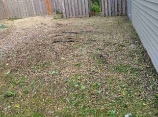 Weeding by Natatia Frame for Abby W. in Eagan, MN