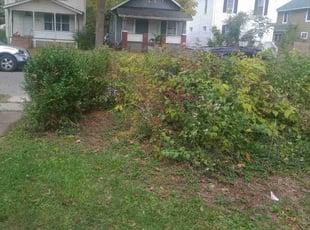 Bush Trimming by Robert Pittman for James B. in Columbus, OH