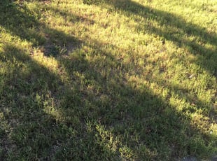 Cleanups by David Sigmon for Tyler H. in Wichita, KS