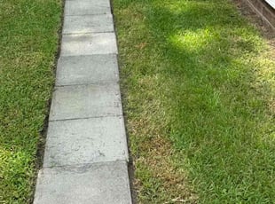 Bill K.'s Lawn Care service result
