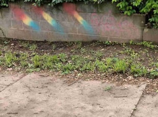 Bush Trimming by Ronald Bell for Derek L. in Kansas City, MO