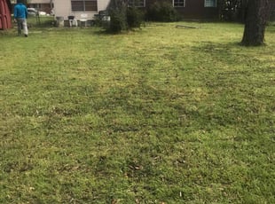 Cleanups by Juan Uribe for Henry t. in Irving, TX