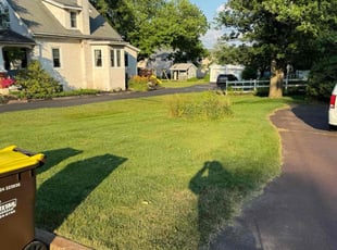 Sheila C.'s Lawn Care service result