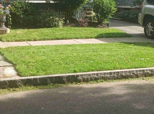 Matthew K.'s Lawn Mowing Service service result