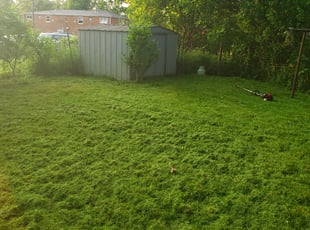 Cleanups by Scott Ruch for Derek C. in Columbus, OH