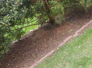 Cleanups by Rohan James for Charmane J. in Chester, VA