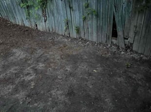 Lana D.'s Leaf Removal service result
