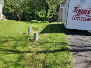 Phuong L.'s Lawn Mowing service result