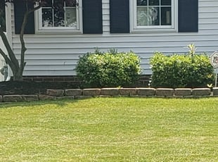 Weeding by Brian Simmons Jr for Crystal L. in Willoughby, OH