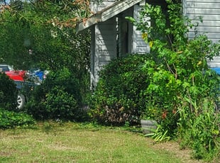 Bush Trimming by William Mende for Deanna O. in Virginia Beach, VA