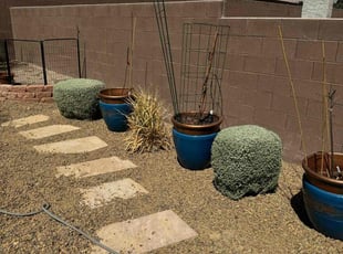 Bush Trimming by Lamont Johnson for Jenna S. in North Las Vegas, NV