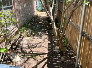 Leaf Removal by Marcus Carranza for Clara T. in Irving, TX