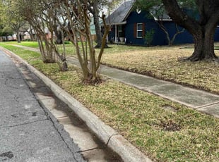 Leaf Removal by Marcus Carranza for Nate D. in Dallas, TX