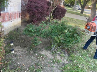 Bush Trimming by Gabriel Piedra for Porcia G. in Flower Mound, TX
