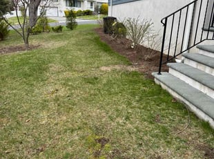 Leaf Removal by Migjen Ahmetaj for Liam C. in New Rochelle, NY