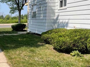 Bush Trimming by Laila Payton for Jessica J. in Milwaukee, WI