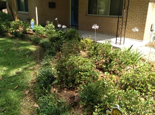 Weeding by Gregory Lewis for Karen E. in Baton Rouge, LA
