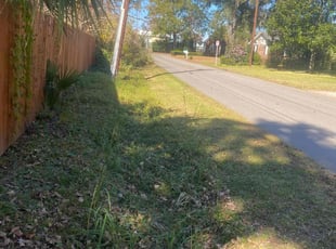 Leaf Removal by Vernon Smalls for Sean E. in Charleston, SC