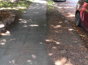 Jose C.'s Leaf Removal service result