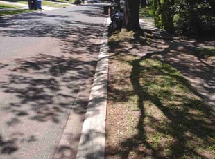 Leaf Removal by Gray Allen for Morgan P. in New Orleans, LA