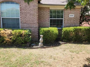 Bush Trimming by Gerome Randle for Tycasha M. in Mansfield, TX