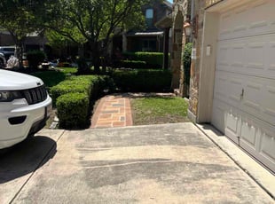 Bush Trimming by Eugene Cervantez for Janet H. in San Antonio, TX