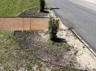 Bush Trimming by Kenneth Rome for Brandy H. in Gulf Breeze, FL
