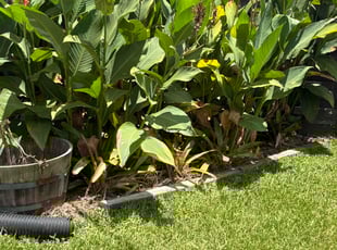 Shakeerah N.'s Flower Bed Weeding service result