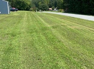 Sheila D.'s Lawn Mowing service result