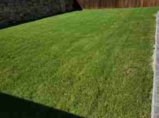 Aaron S.'s Lawn Service service result