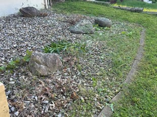 Cleanups by Jay Robbe for sasha w. in Cincinnati, OH