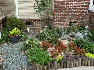 Weeding by Larry Gordon for Sarah T. in Norfolk, VA