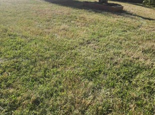 Cleanups by Willie Parker for Lynn K. in Fort Myers, FL