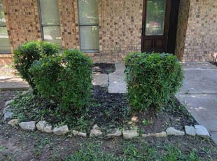 Kristen T.'s Bush Trimming service result