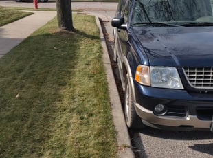 Leaf Removal by Demetri Major for Megan B. in Milwaukee, WI